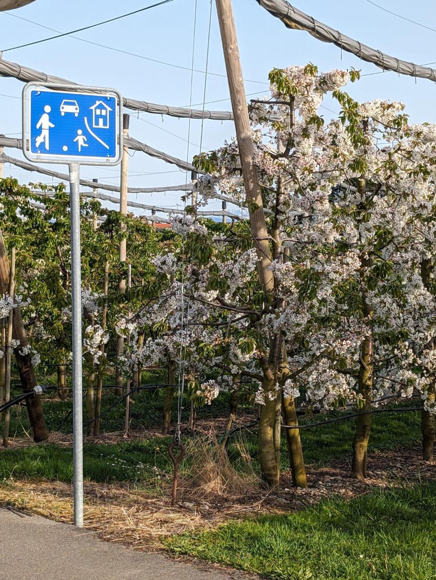 Kinderlachen Wasserburg Esterno foto